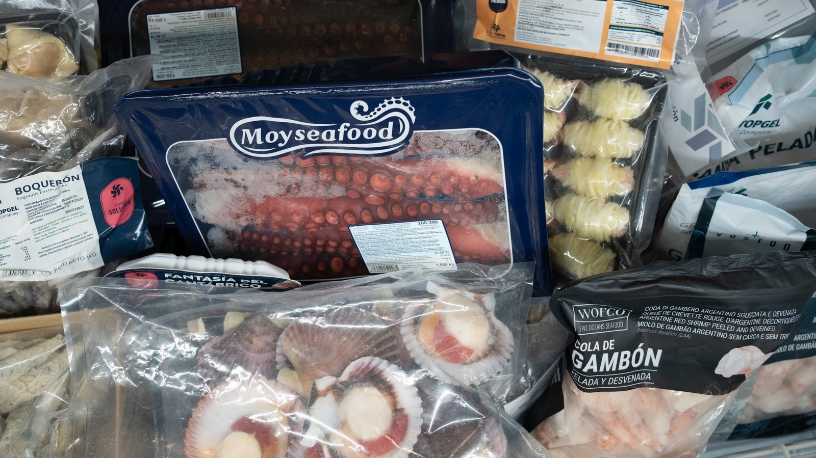 Selección de productos congelados y refrigerados de ISCASA — Grupo Topgel