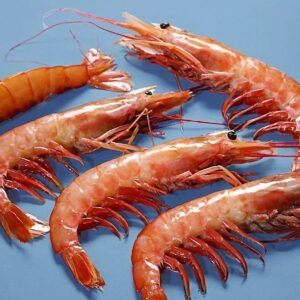 GAMBA LANGOSTINERA Nº 2 BORDO 20/30