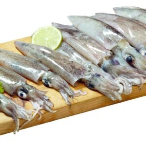 CALAMAR PATAGONICO 4 C/5 KG 10-12 CM