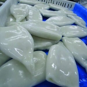 POTON TUBO 23/26 INTERF 20% TOPGEL 1X5 KG