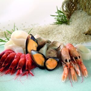 PREPARADO PAELLA MARISCO TOPGEL 1X3 KG