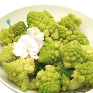 ROMANESCO 40/60