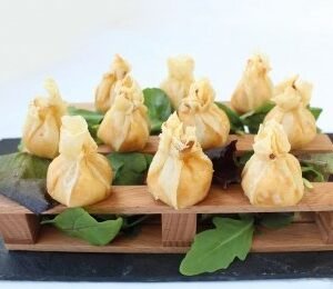 SAKITO DE SETAS JAMON Y FOIE TOPGEL C/800 GR